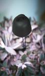 leaf light care 36cm living noir